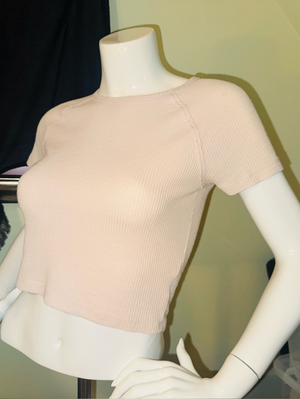 👑 Cute American Eagle Outfitters Cream Waffle Knit Crop Tee Size XSmall - Picture 3 of 8